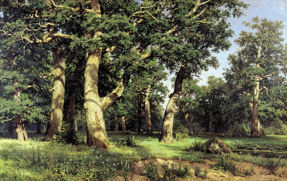 “Oak Grove” by Ivan Shishkin - Painting Description