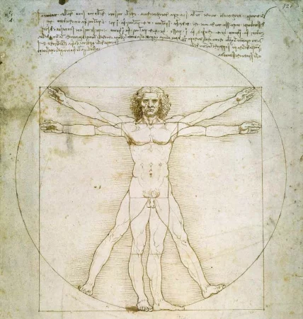 Vitruvian Man, Leonardo da Vinci - Meaning, Analysis, Facts