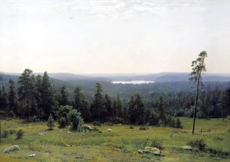Forest Distance, Ivan Shishkin - Description of the Painting