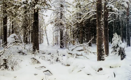 Winter forest, Ivan Shishkin - Description of the Painting